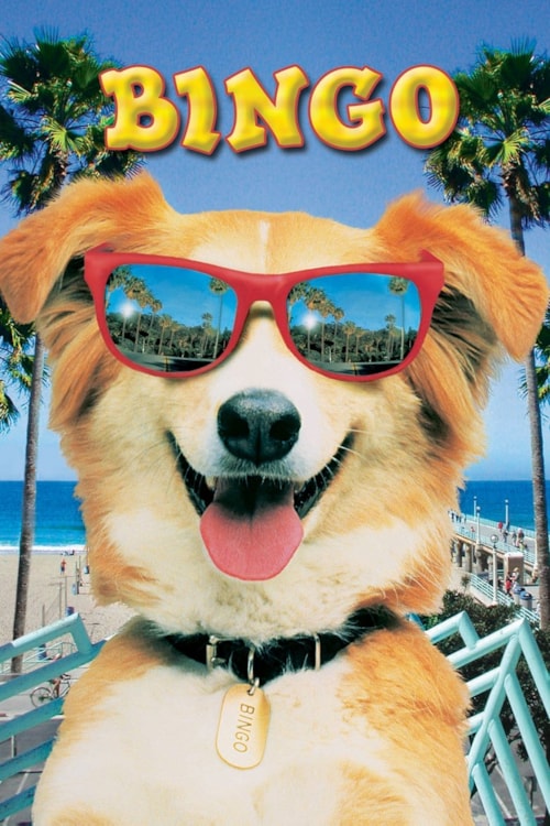 Bingo poster